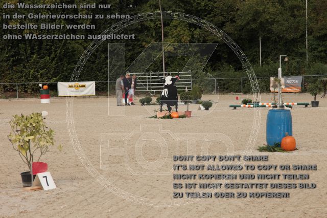 a_IMG_4263.JPG